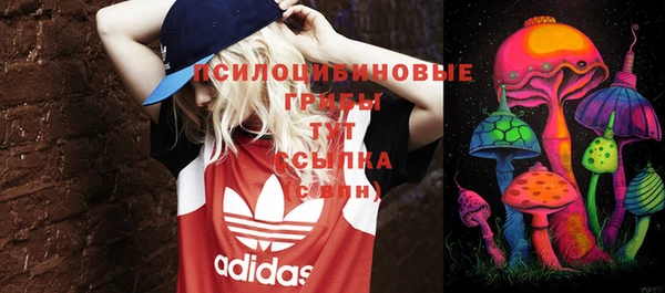 молекула духа Алексин