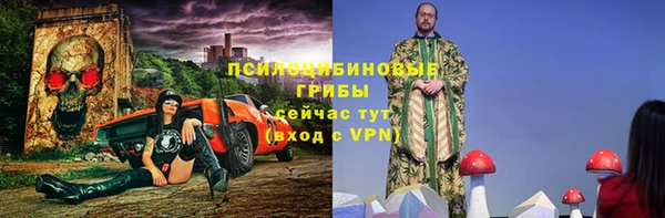 дмт Алзамай