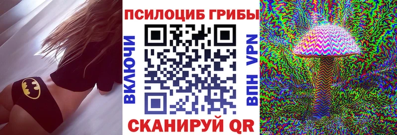 Псилоцибиновые грибы Psilocybine cubensis  Купить закладки  Шебекино 
